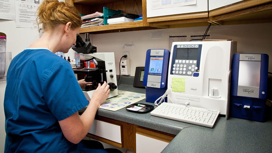 VCA Chanhassen Animal Hospital Laboratory