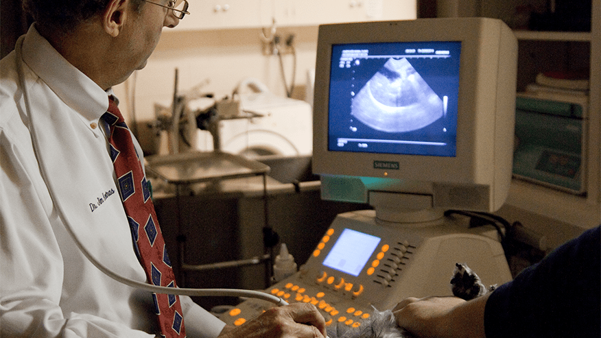 Echocardiogram
