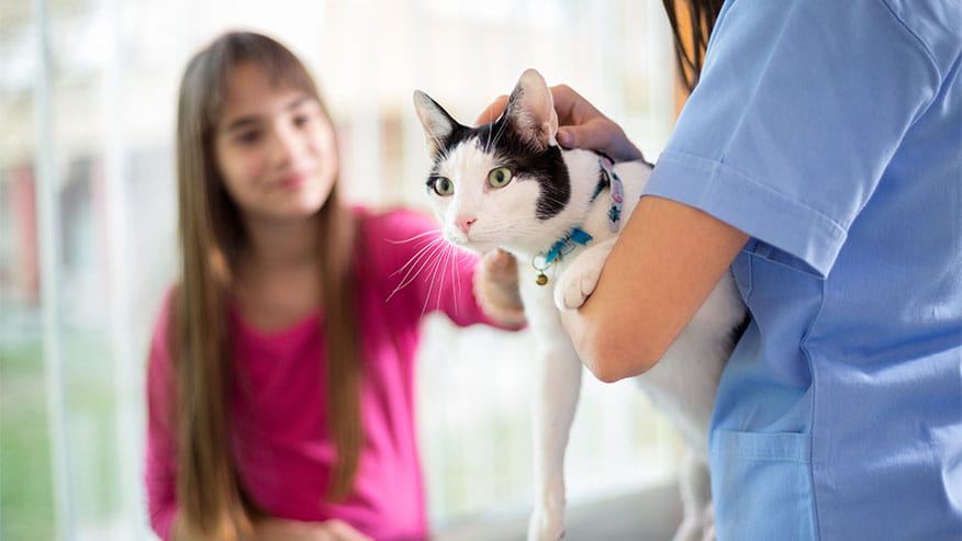 876x493 SpecialtyServices MedicalNeurology