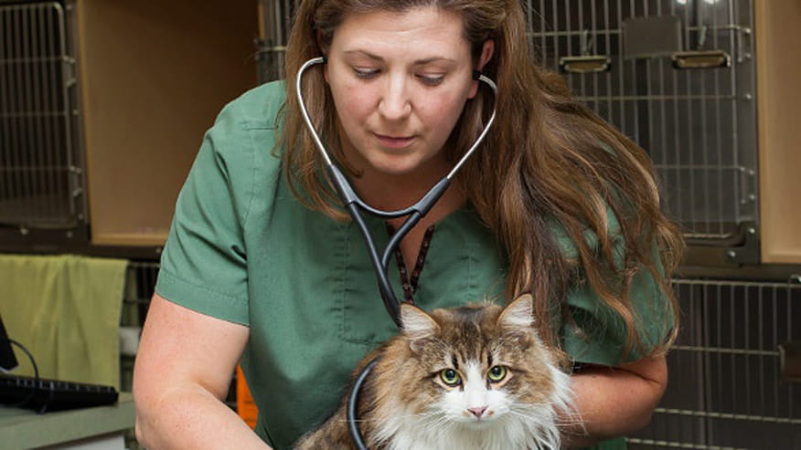 876x493 colonial senior wellness