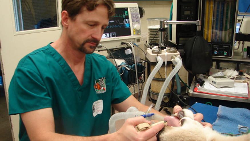 876x493 deer creek littleton dentalcare