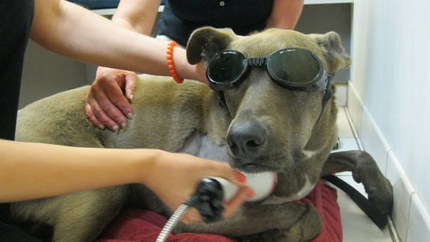 876x493 deer creek littleton lasertherapy