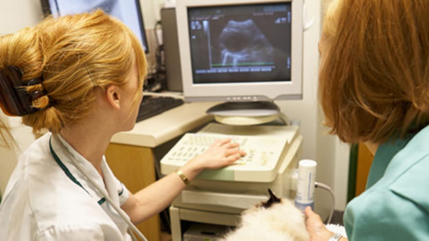 876x493 deer creek littleton ultrasound