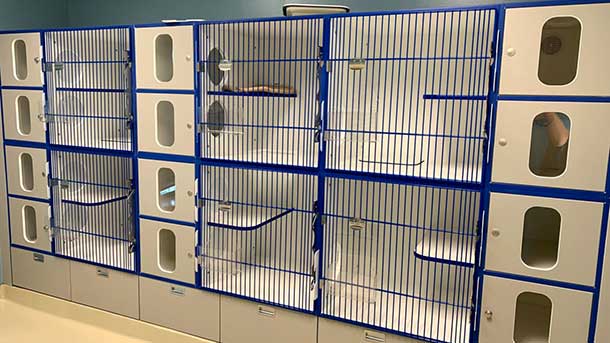 Cat condos at VCA DeSoto Animal Hospital