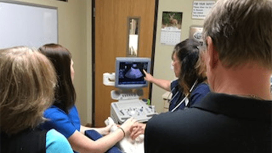 876x493 douglas county Ultrasound