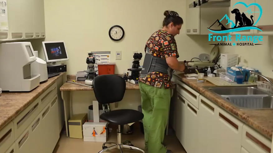 VCA Front Range Animal Hospital Laboratory
