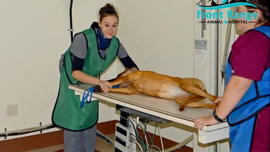VCA Front Range Animal Hospital Radiology