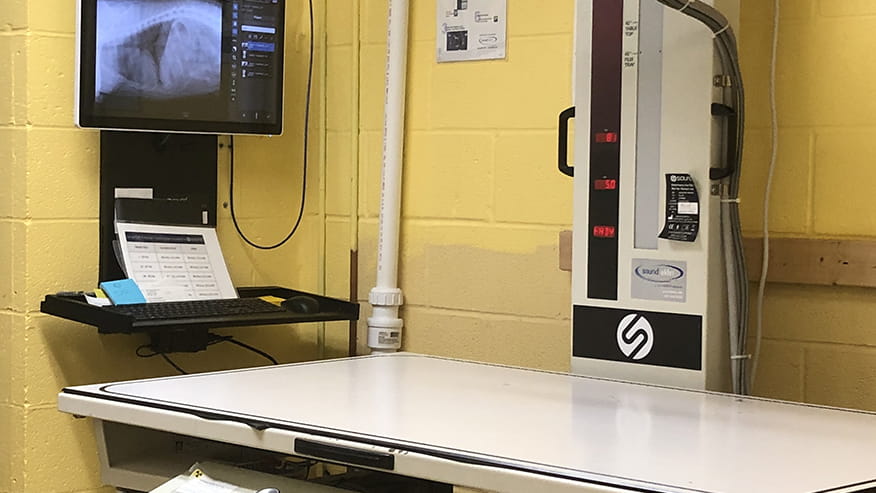 Veterinary x-ray machine at VCA Herndon-Reston Animal Hospital