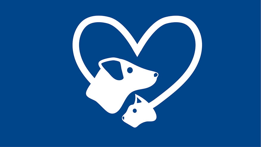 Leon Springs Adult and Senior Wellness