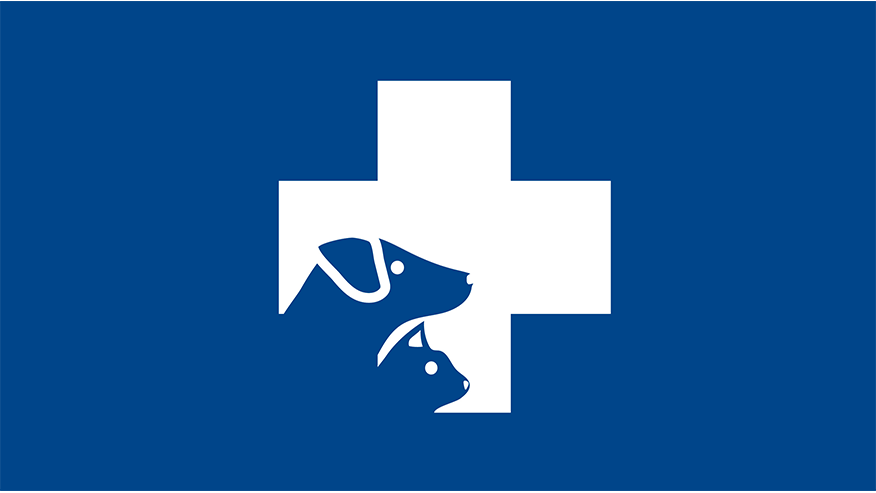 876x493 leon springs GeneralSurgery