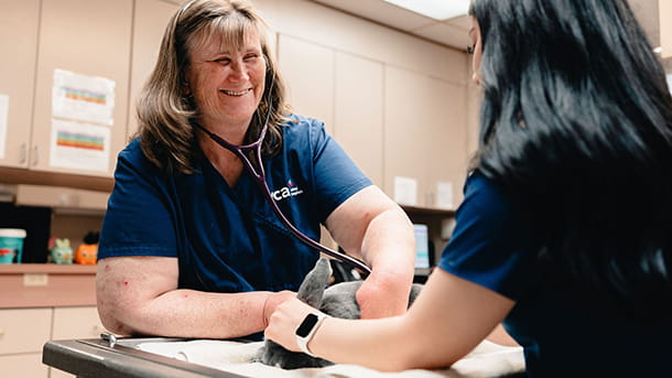 VCA Los Banos veterinarian and veterinary technician examining a rabbit