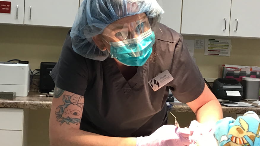 advanced dental care