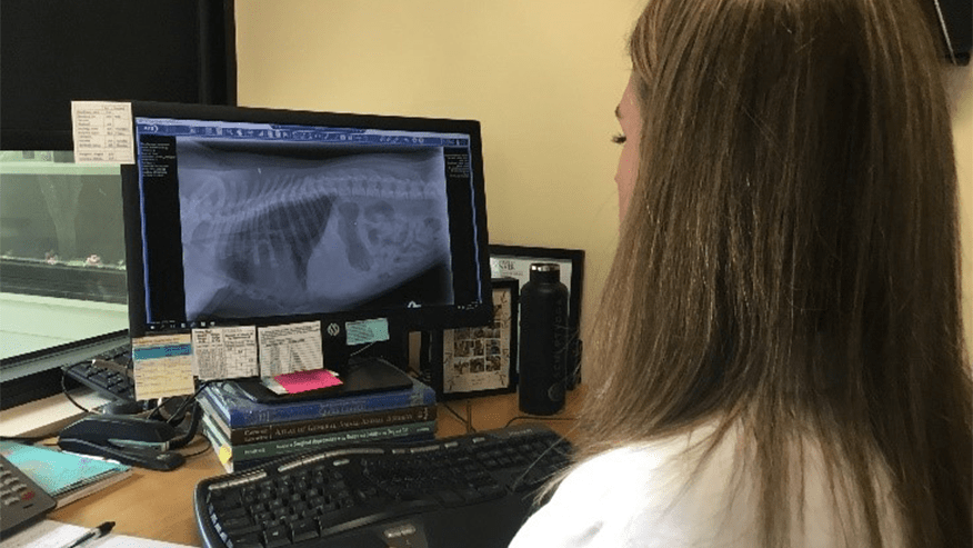 876x493 murrayhill Radiology