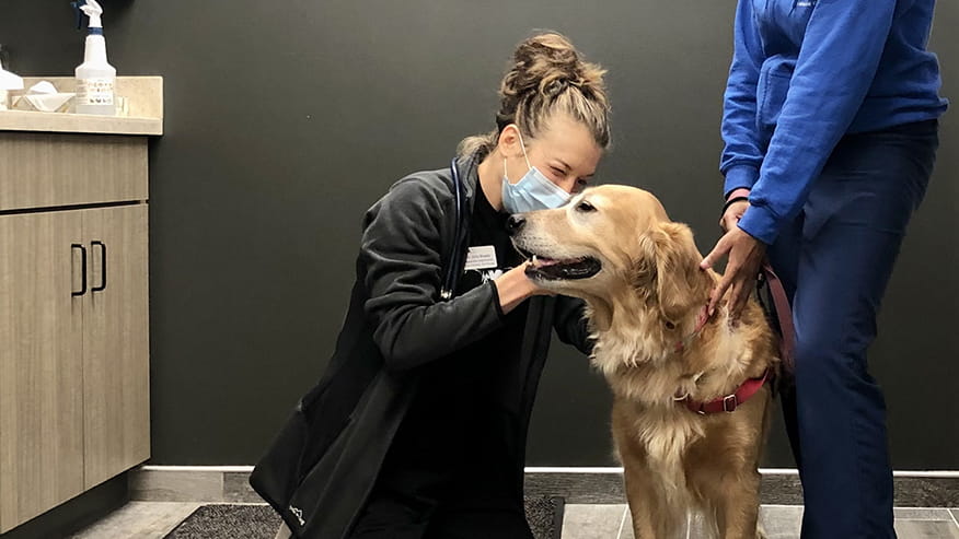 Old Town Adult Wellness