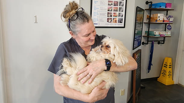 VCA Peone Pines Associate holding a dog