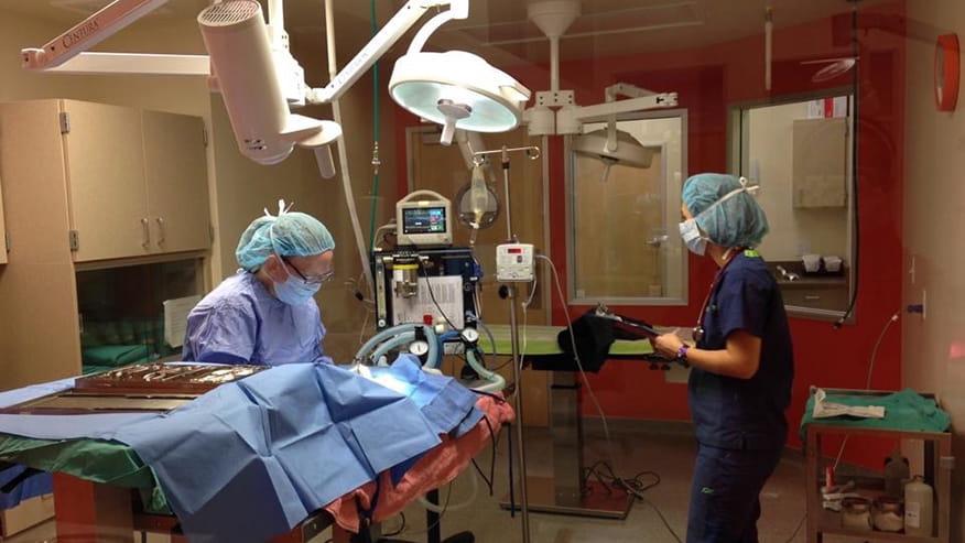 876x493 pinnacle Services AdvancedCare