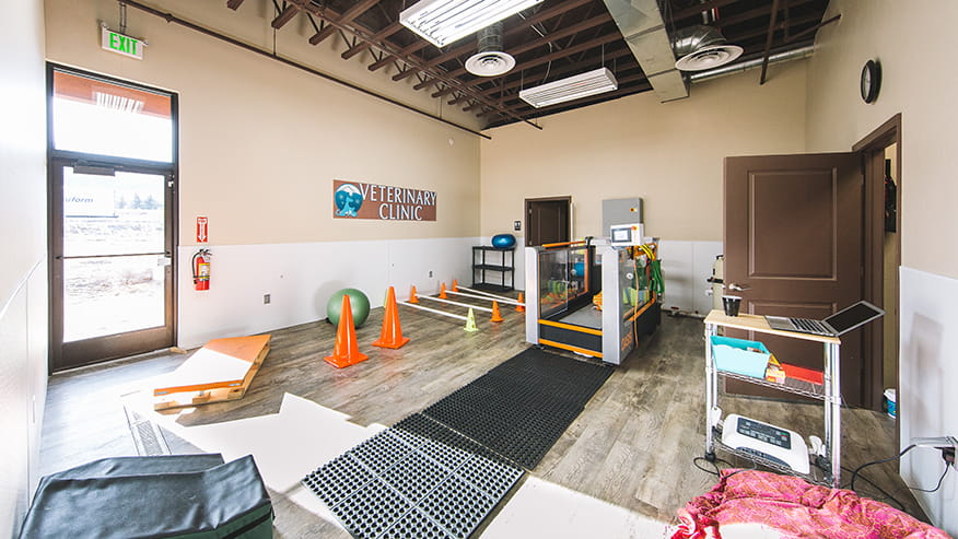 Rehabilitation Center