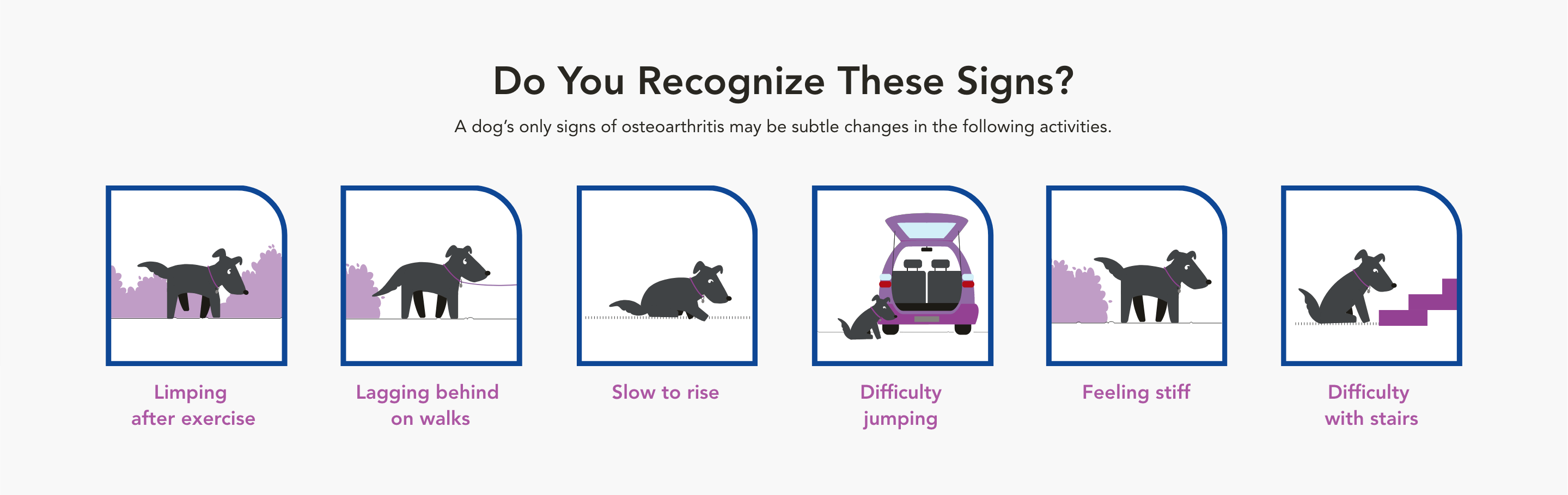 Do You Recognize the Signs Banner