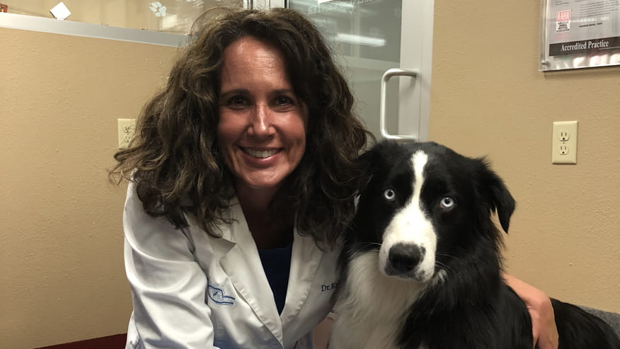 876x493 spring creek AnimalRehab