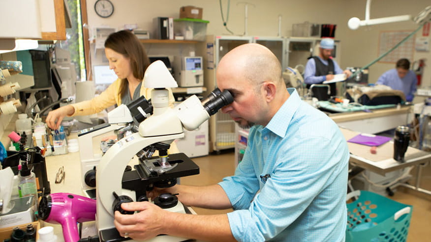 876x493 tiara rado diagnostics