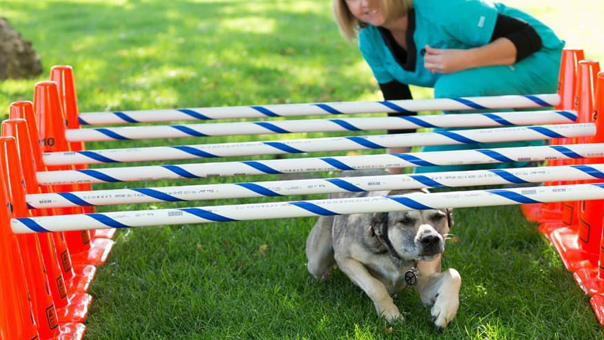 876x493 tiara rado rehab2