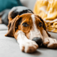 Vital Emergency Care Exams Now at a Lower Price*