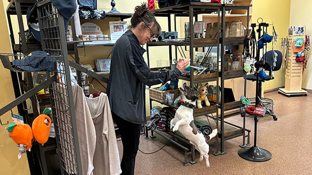 Dog training at VCA Village Park Animal Hospital