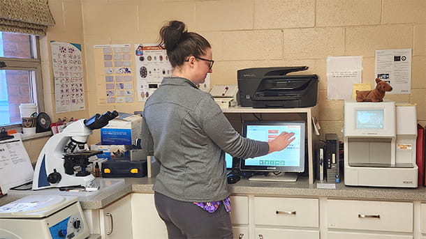 Veterinary running diagnostics on the computer