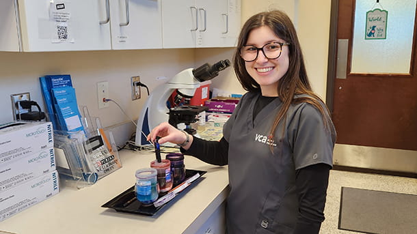 Veterinary assistant working in the lab