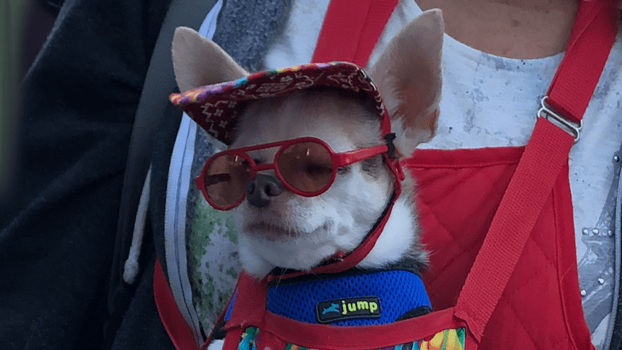 876x493 wiles road ExtendedStay